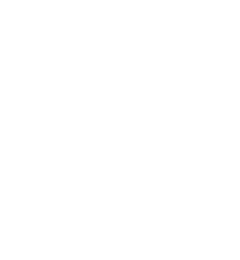 Comprehensive icon