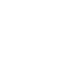Sensitivity icon
